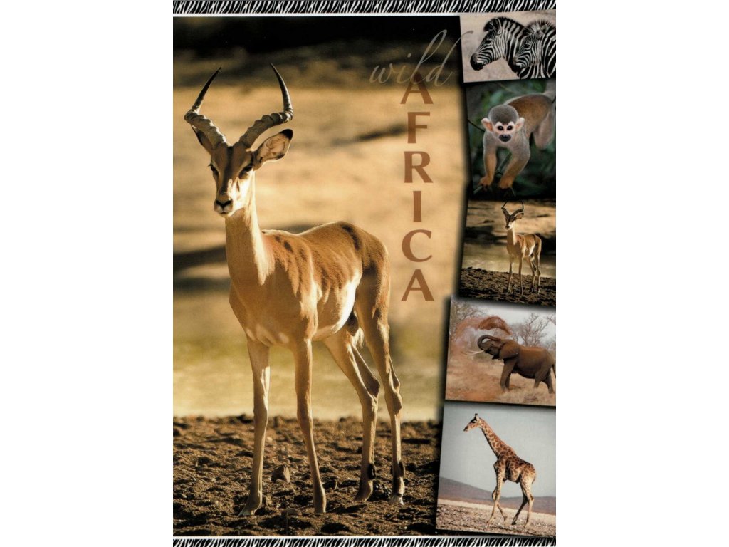 12116 2 pohlednice antilopa