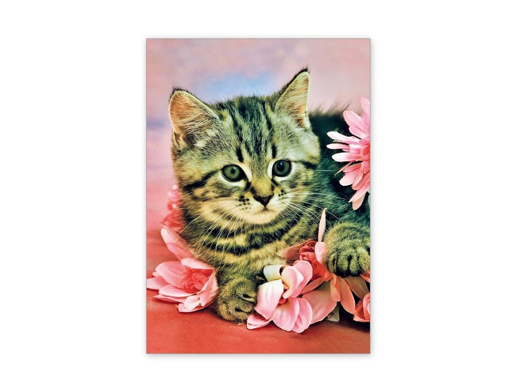 15539 2 pohlednice poeticke kote