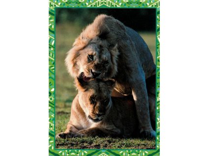 12206 2 pohlednice lvi